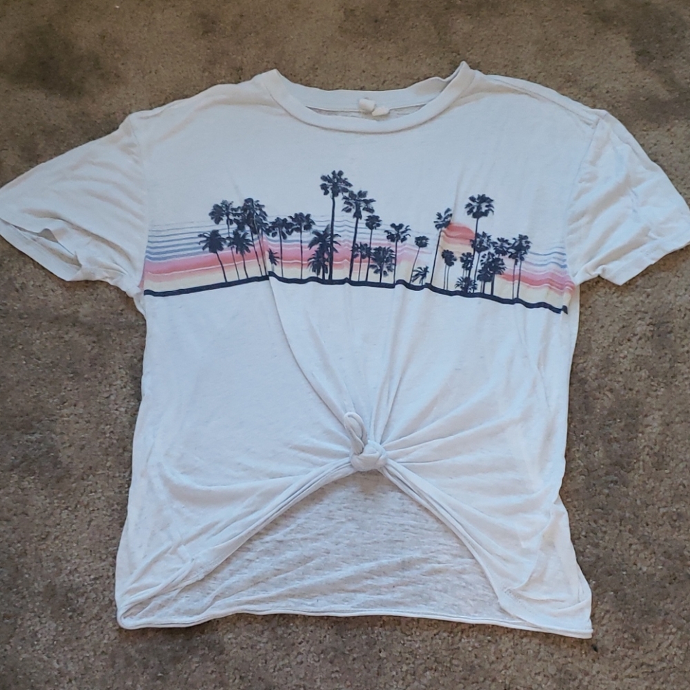Palm trees top
